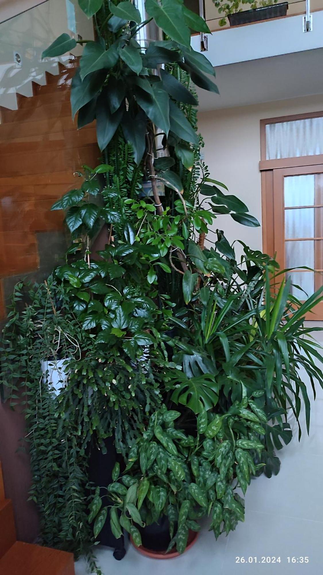 Villa Homestay Nad Helmrovkou Prague Ngoại thất bức ảnh