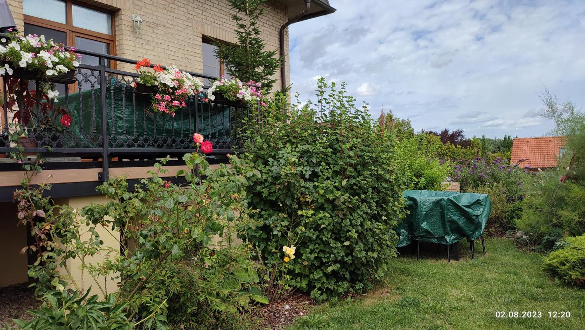 Villa Homestay Nad Helmrovkou Prague Ngoại thất bức ảnh