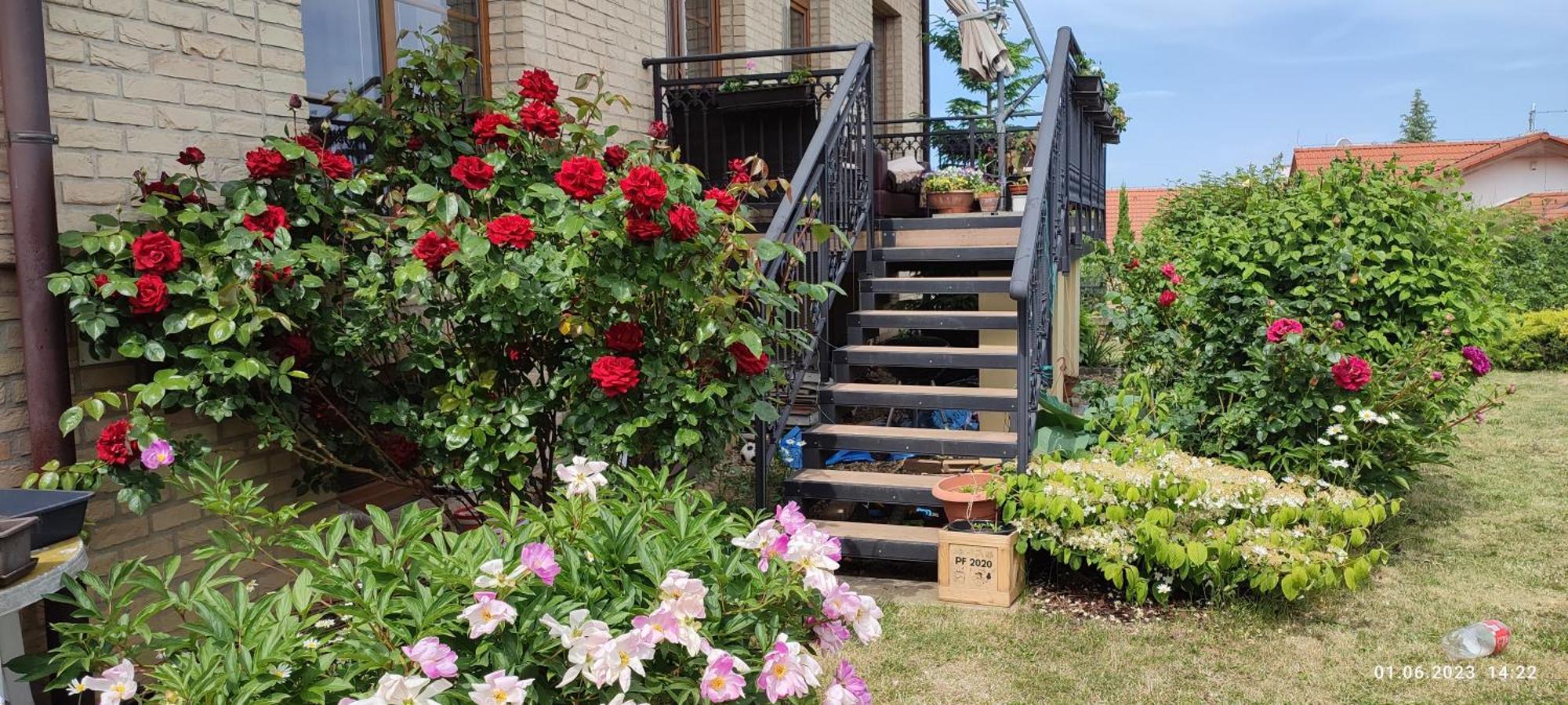 Villa Homestay Nad Helmrovkou Prague Ngoại thất bức ảnh